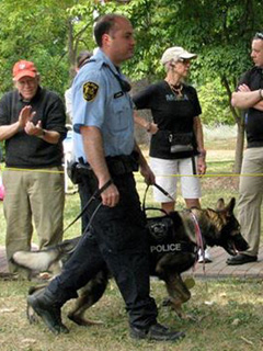 Meiky — Trot Award