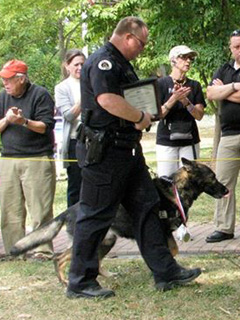 Onyxx — Trot Award