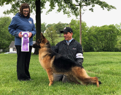 Winner's Dog — Von Loar Red Rum Gomez