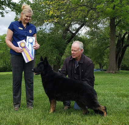 Sunday Best of Breed — Faithrock's Maverick